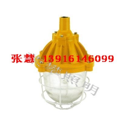 供应BYC6170 内场防爆灯